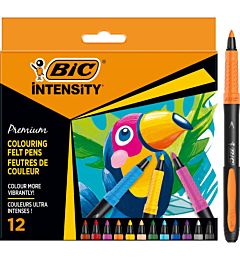 BIC PENNARELLI INTENSITY PREMIUM 12PZ