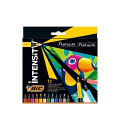 INTENSITY FP FINE PACK12 EUBic