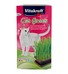 CAT GRASS- ERBA NATURALE