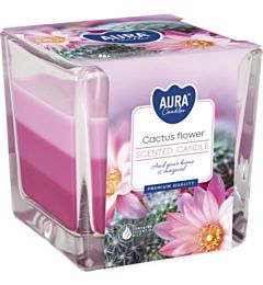 CANDELA TRICOLORE - FIORE DI CACTUS - 170GAura