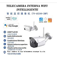 TV-6024    IP TELECAMERA