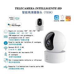 T53A    IP CAMERA