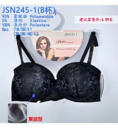 JSN245-1 REGGISENO LACE PUSH UP COPPA BOrbro Underwear