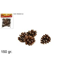 BUSTA PIGNE 150GRDue Esse