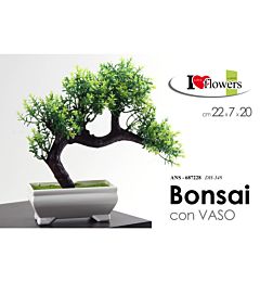 ANS/BONSAI 22*7*20 DH-348Gicos