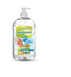 GEL IGIENIZZANTE MANI 1000ML CON DISPENSER