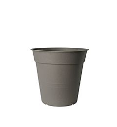 VASO FLY D.15 CAPPUCCINOBama