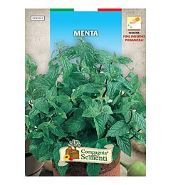 SEMI AROMATICI - MENTA