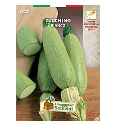 ZUCCHINO BIANCOOrganica