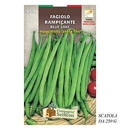 FAGIOLO RAMPICANTE BLUE LAKE MANGIATUTTO (SENZA FI