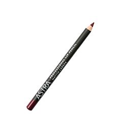 PROFESSIONAL LIP PENCIL N.36