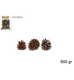 BUSTA PIGNE NATURALI 600GR ART311