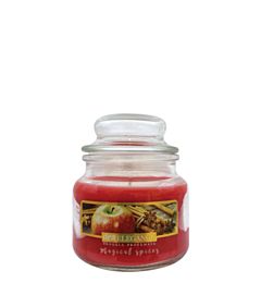 Candela Elegance 100g - Magical SpiceDea