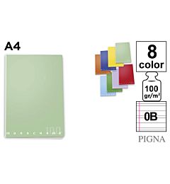QUADERNO  MAXI MONOCROMO 38FF/SH 100 GR A4 0B