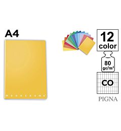 MAXI PIGNA FG. 21         MONOCROMO CO
