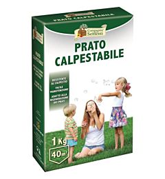 CDS Prato Calpestabile - 1kgCompagnia Delle Sementi