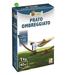 CDS Prato Ombreggiante - 1kgCompagnia Delle Sementi