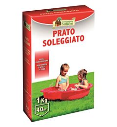 CDS Prato Soleggiato - 1kgCompagnia Delle Sementi