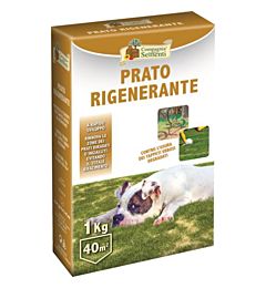 CDS Prato Rigenerante - 1kgCompagnia Delle Sementi