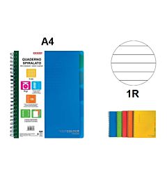 QUADERNO SPIRALATO A4 CON DIVISORI RIGHE 1RArda