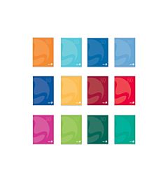 QUADERNO BM  FG. 21 GR. 80     COLOR BASIC 4MMBm