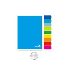 QUADERNO BM  FG. 21 GR. 80     COLOR BASIC 5MM