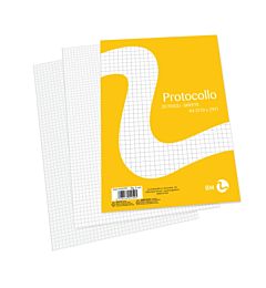 BM FOGLI PROTOCOLLO 80 g/m² QUADRETTI 5MM 20 FOGLI