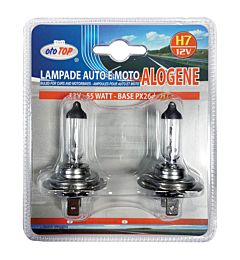Lampadina Alogena H7 12V/100W - 2pzOto Top