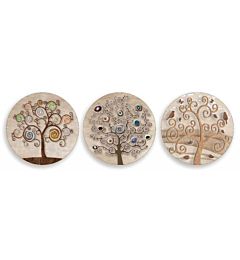 SOTTOBICCHIERE COLL, TREE DIAM, 10Lupia