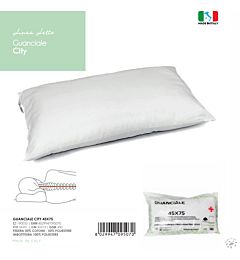 GUANCIALE CITY MISCM45/75Lovely Home