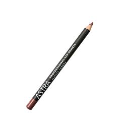 PROFESSIONAL LIP PENCIL N.41 WOOD