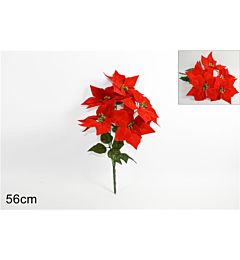 Mazzo 5 Fiori - Stella di Natale RossoDue Esse