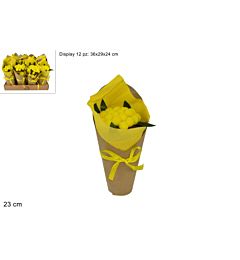 Piantina Mimosa Confezionata - 23cm