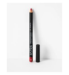 PROFESSIONAL LIP PENCIL N.42 CHERRY