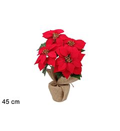 PIANTINA STELLE DI NATALE CBASE JUTA 45 CM XDX24-288