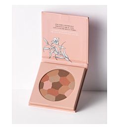 PURE BEAUTY MOSAIC FACE POWDERAstra