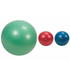 PALLA FITNESS D75 C POMPA 3 ASS.Fit Lover