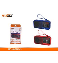 RADIO PORTATILE DOPPIA FREQUENZA AM/FM