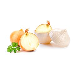 SALVA CIPOLLAPlastic Forte