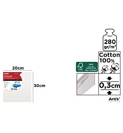 ARTIX TELA SU PIATTAFORMA 20X30X0,3CMArtix