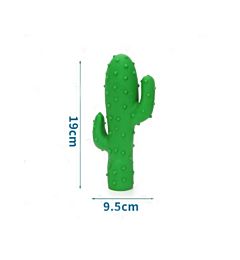 CACTUS IN VINILENobleza