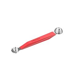SCAVINO FRUTTA DOPPIA FUNZIONE BLISTERPedrini