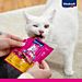 Cat-Stick Pollo e Fegato - 3x18gVitakraft