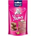Cat Yums - Patè di Fegato - 40gVitakraft
