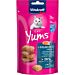 Cat Yums - Salmone - 40gVitakraft