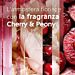 GLADE AUTOMATIC RICARICA - CILIEGIA & PEONIAGlade
