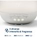 GLADE DIFFUSORE OLI ESSENZIALI - MOMENT ZENGlade