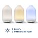 GLADE DIFFUSORE OLI ESSENZIALI - MOMENT ZENGlade