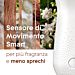 GLADE SENSE & SPRAY RICARICA - MIX 2Glade