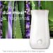 GLADE SENSE & SPRAY RICARICA - LAVANDA & ALOE - 2PZGlade